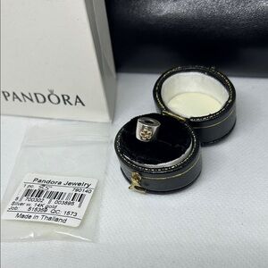 Pandora 2T Sterling & 14 K Gold clip charm